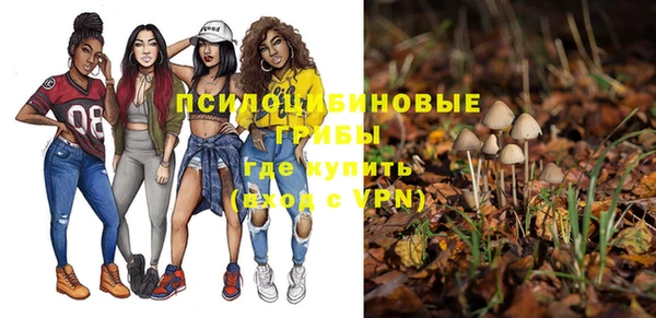 прущая мука Белокуриха